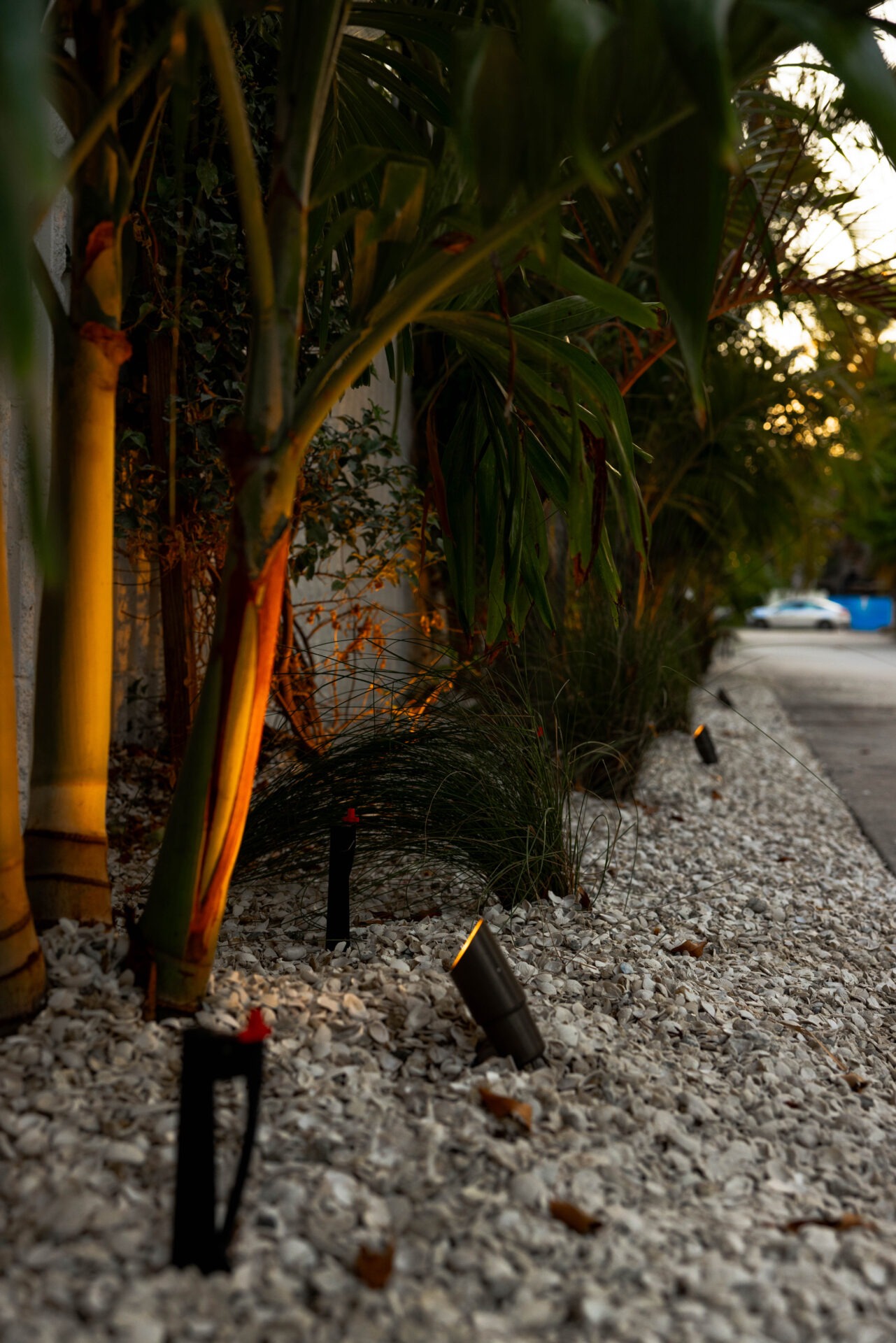 Illuminated path featuring palm trees and landscaping lights, highlighting textured stones and green foliage in a serene, modern outdoor setting.