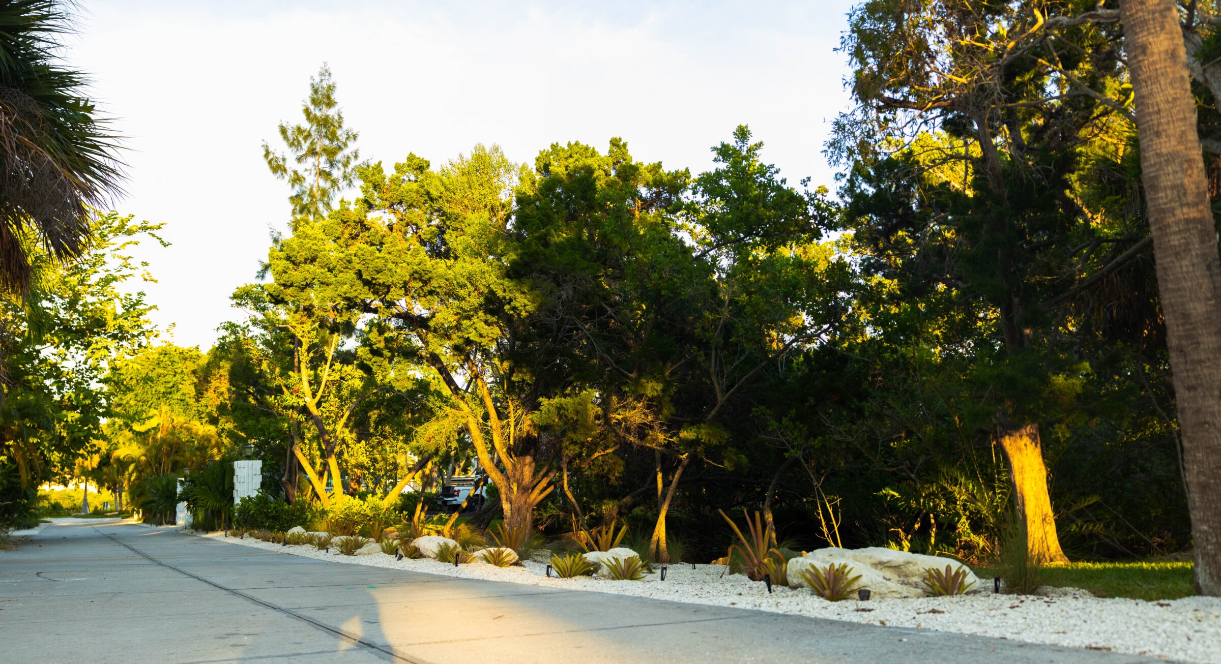 A serene street lined with lush trees and landscaped rocks under soft sunlight, creating a peaceful, natural environment. No visible landmarks.