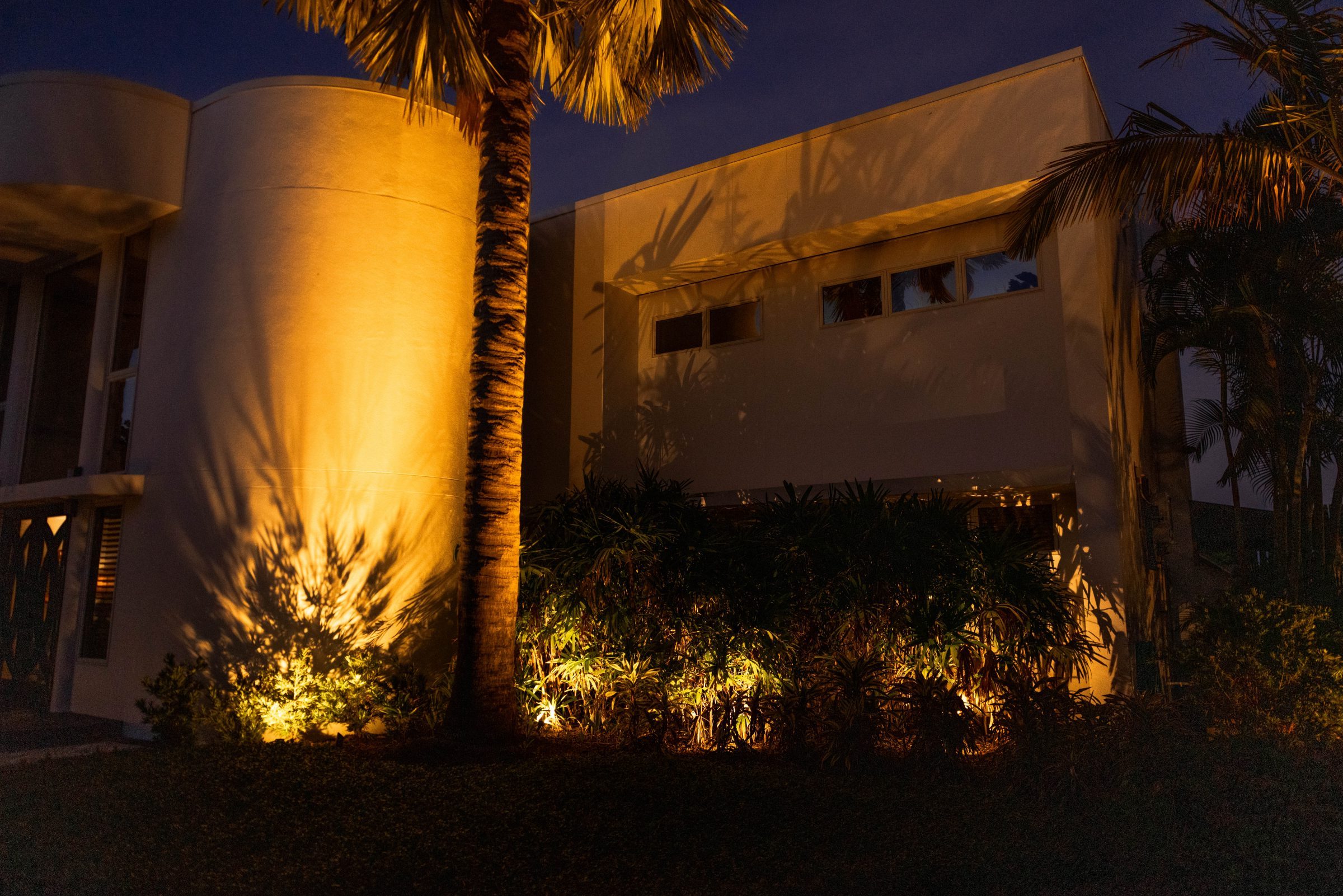 Modern building at night with palm tree shadows illuminated by lights, creating a dramatic ambiance against the smooth, white façade.