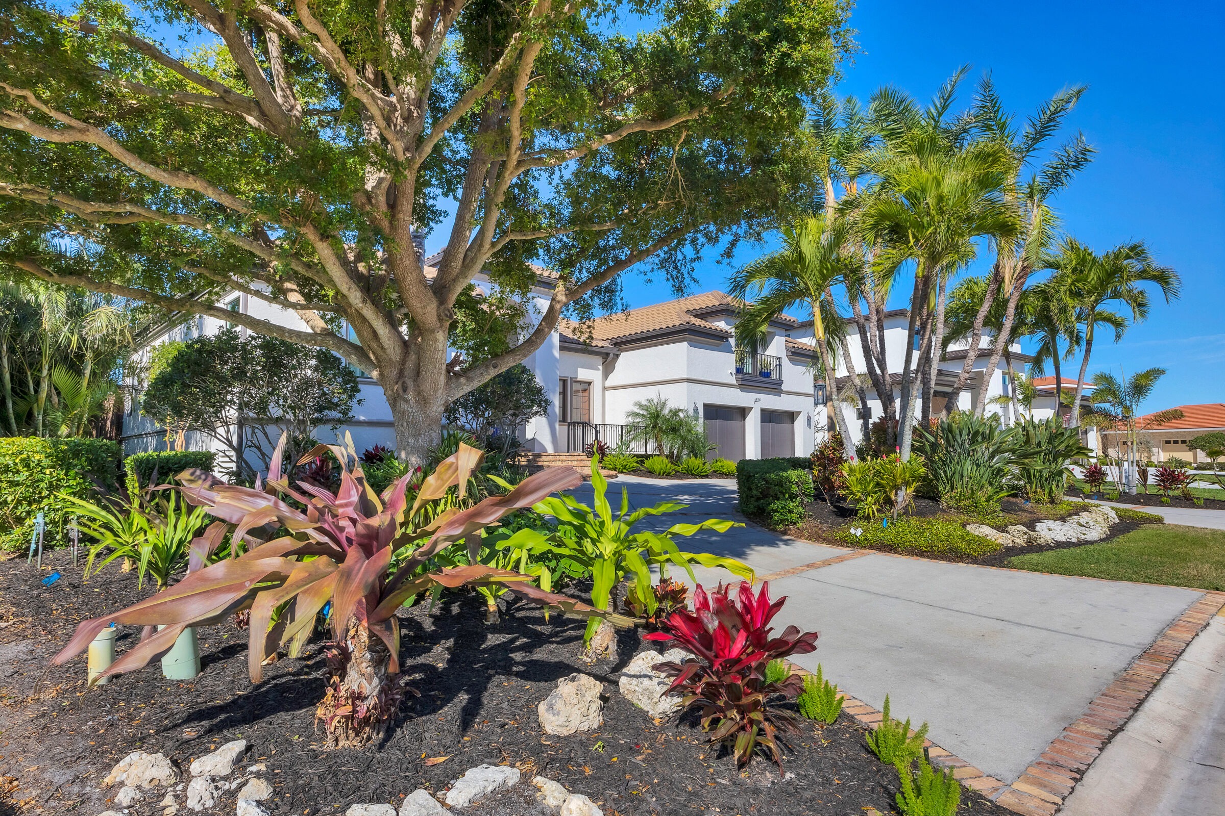A suburban house with white walls, palm trees, and colorful landscaping, viewed under a bright blue sky. No people or landmarks present.