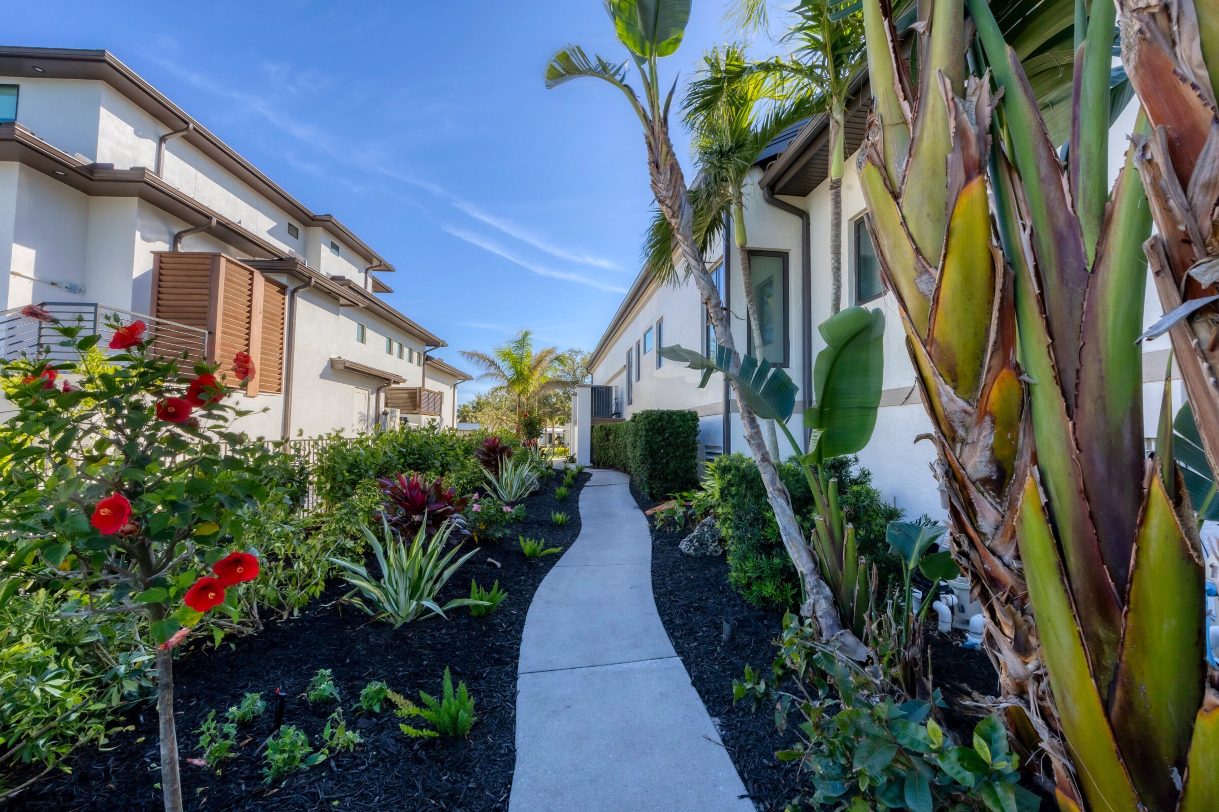 A narrow, winding path surrounded by tropical plants leads between modern buildings under a clear blue sky.