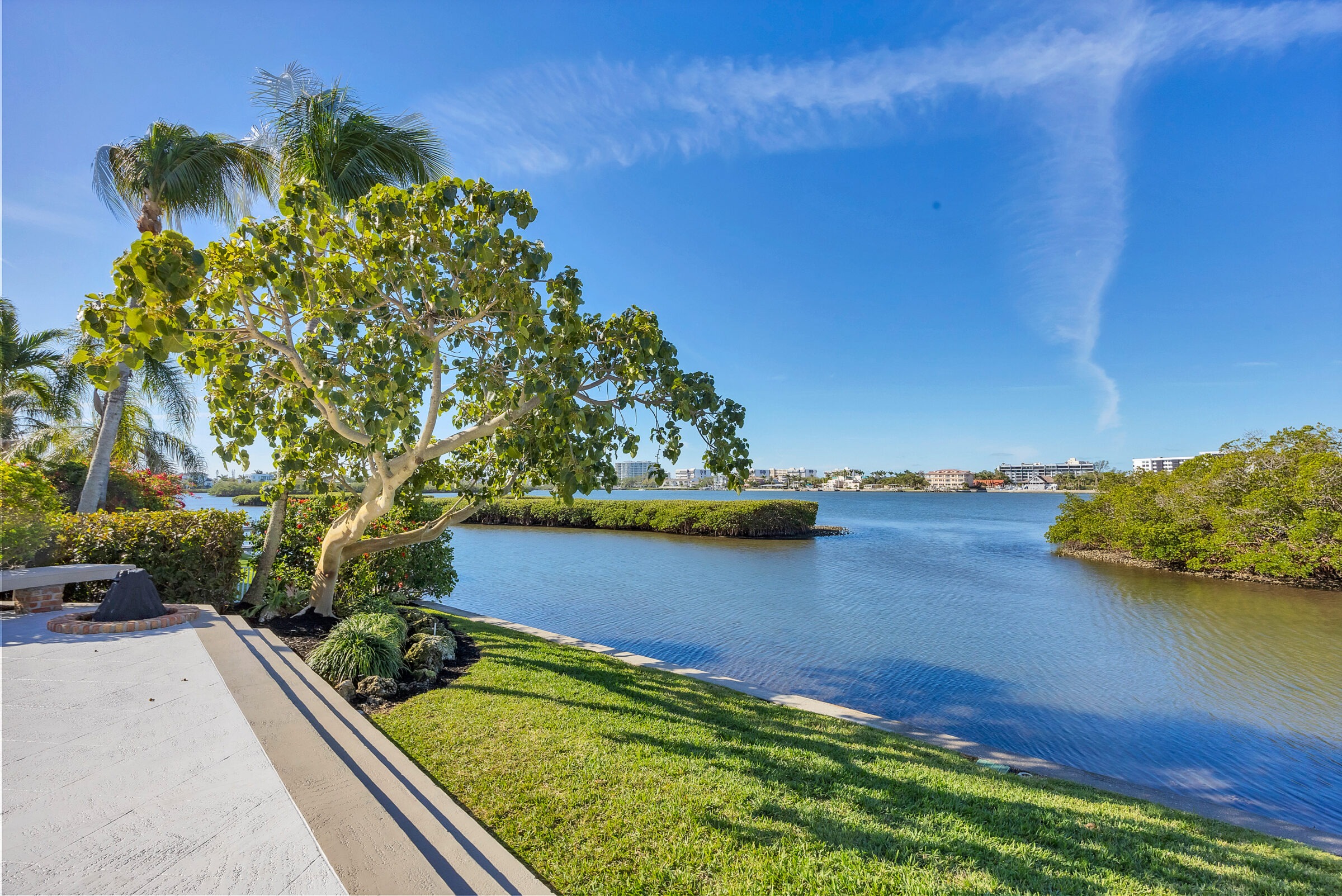 A serene waterfront scene featuring palm trees, grass, and distant buildings under a clear blue sky. Calm waters reflect lush green mangroves.