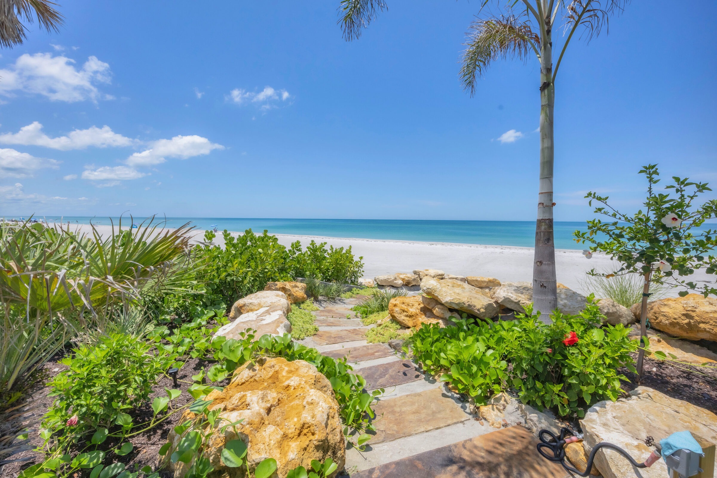 A serene beach with clear blue skies, vibrant plants, and a sandy path leading to the ocean, bordered by rock formations.
