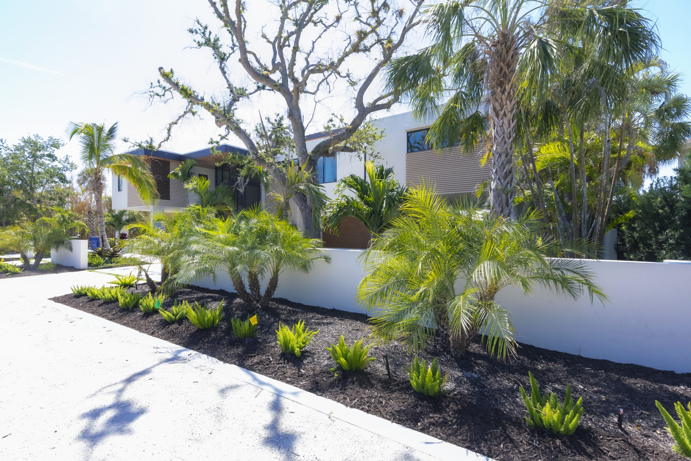 Modern house with palm trees and landscaped garden, featuring wooden accents and bright walls under clear blue skies, surrounded by lush greenery.