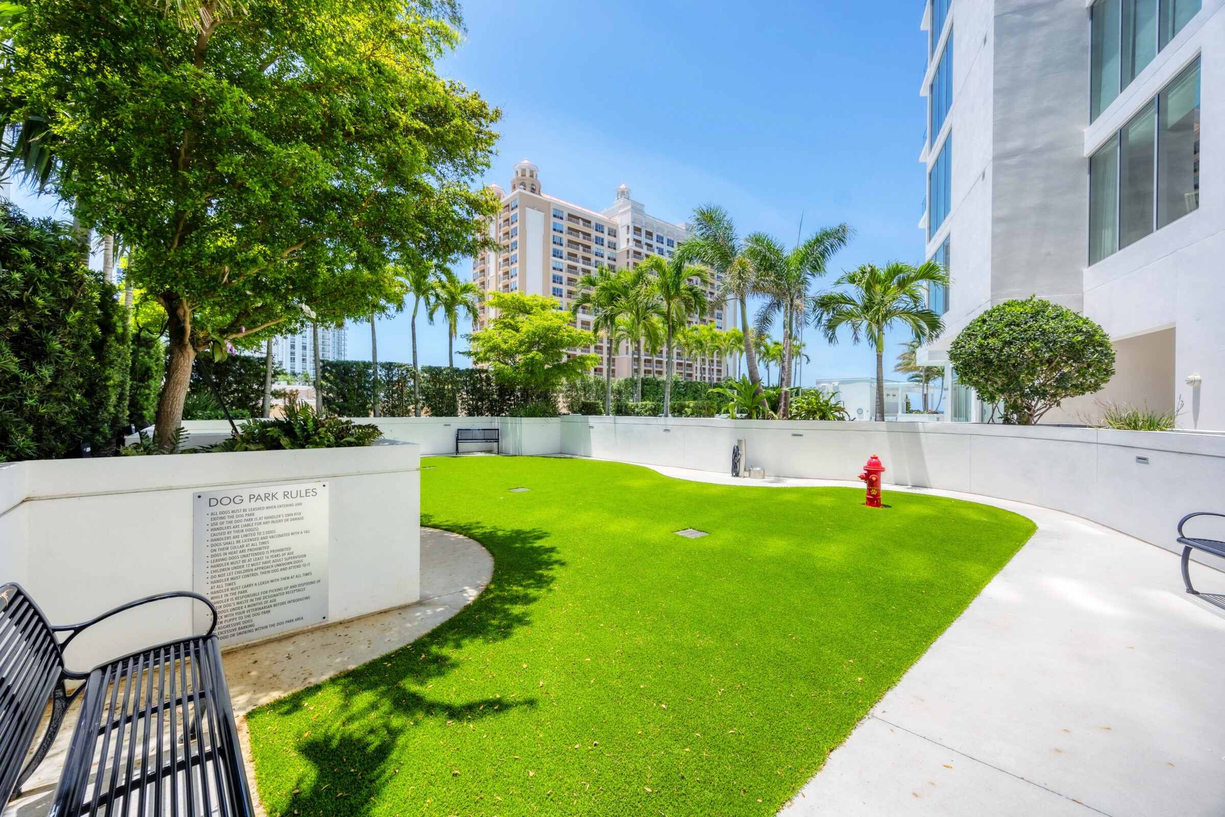 Sunny dog park with vibrant grass, palm trees, and benches near high-rise buildings, including a cream-colored tower in the background.