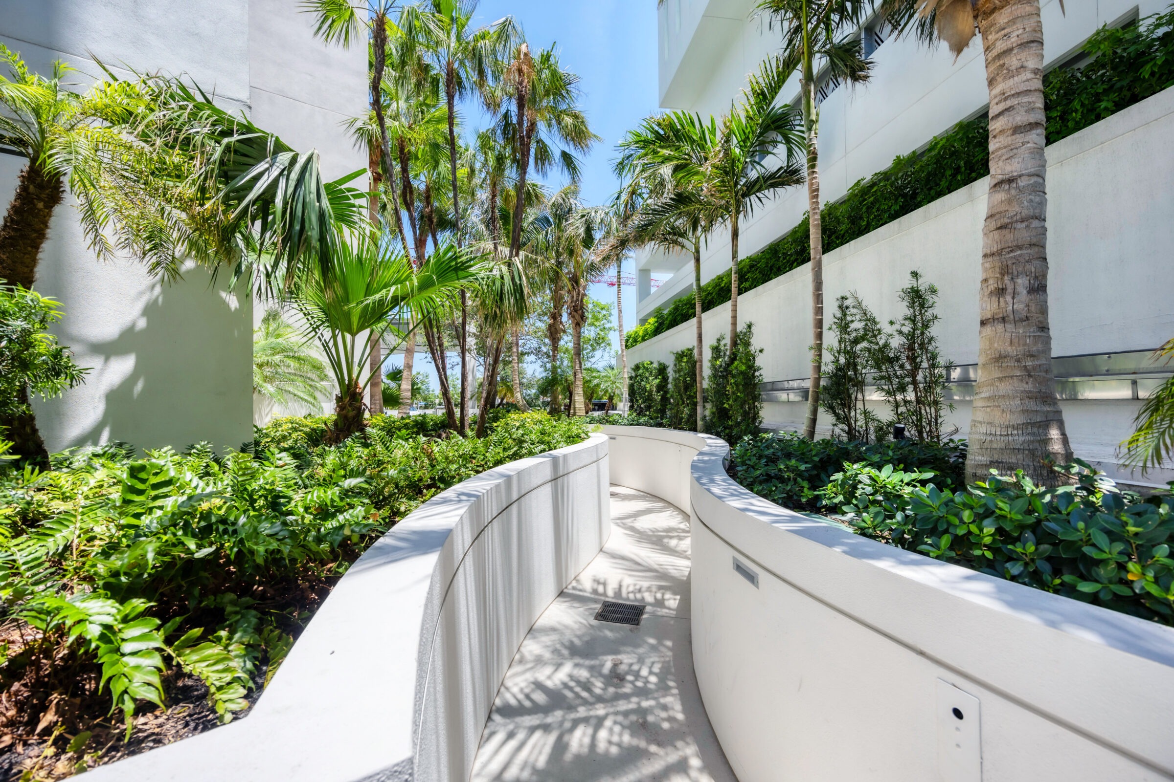 A serene, curved pathway bordered by lush green plants and tall palm trees, adjacent to modern white buildings under a clear blue sky.