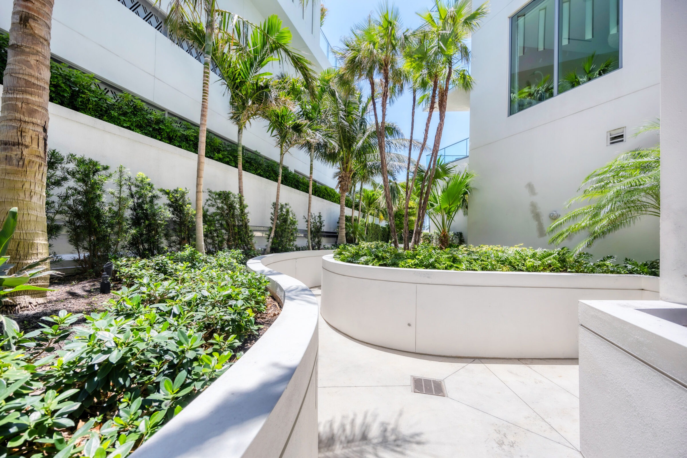 Modern building courtyard with lush greenery, palm trees, and white walls. Bright sunlight creates strong shadows, enhancing the sleek, contemporary design.