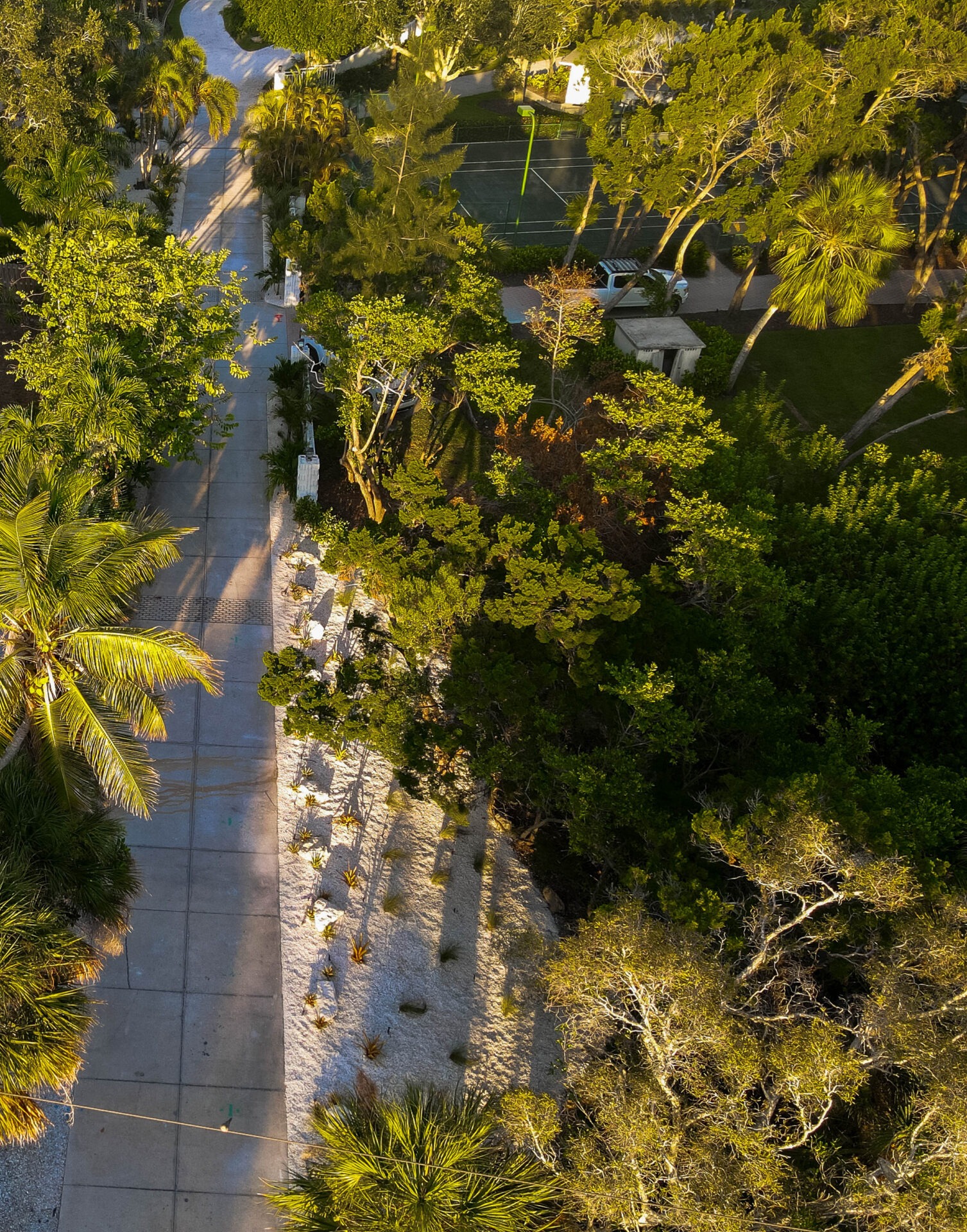 Aerial view of a sunlit pathway surrounded by lush greenery and palms, with a tennis court and parked vehicle nearby. No landmarks visible.