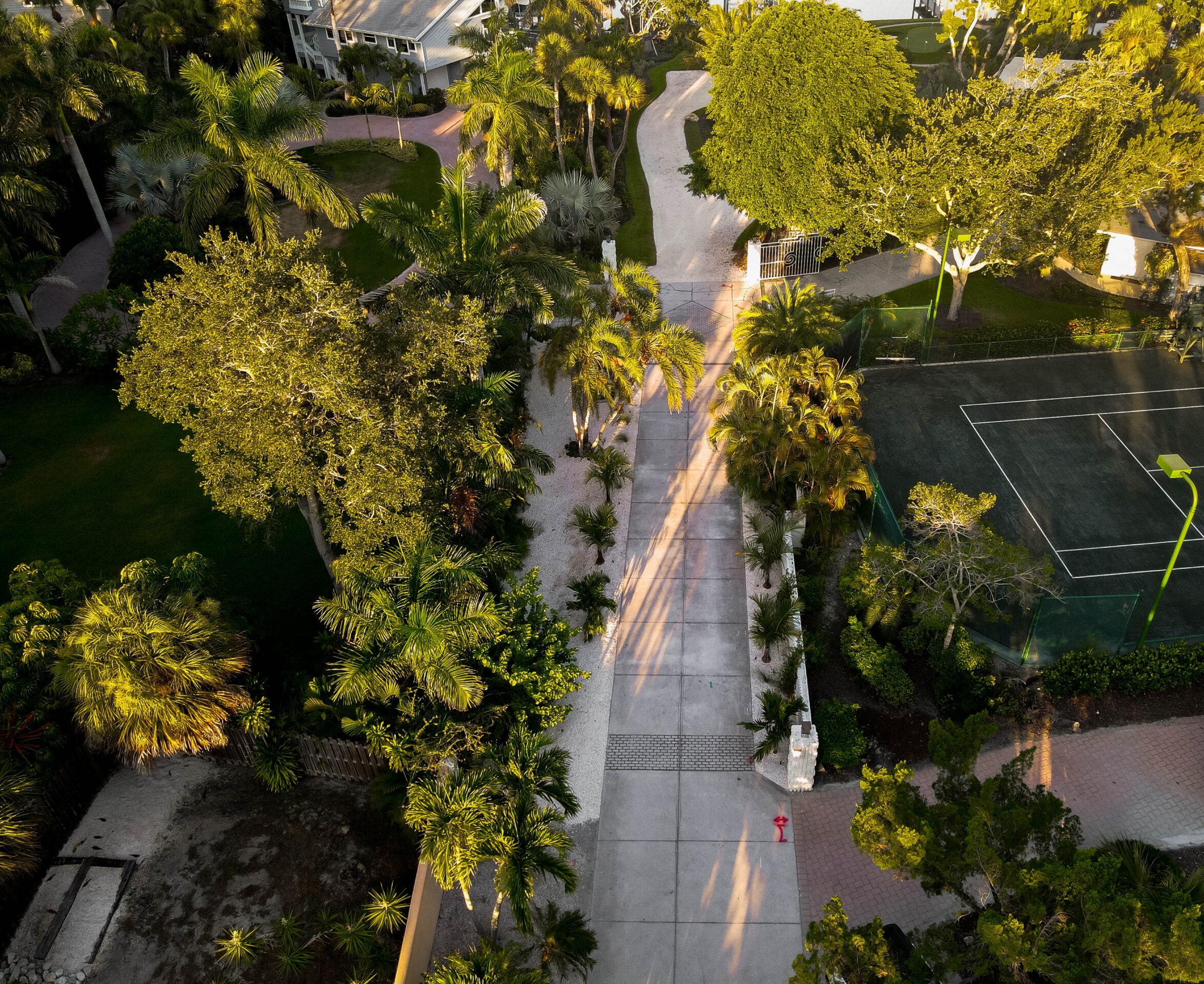Aerial view features a lush, tropical pathway alongside a tennis court, surrounded by abundant greenery and palm trees, with sunlight casting long shadows.