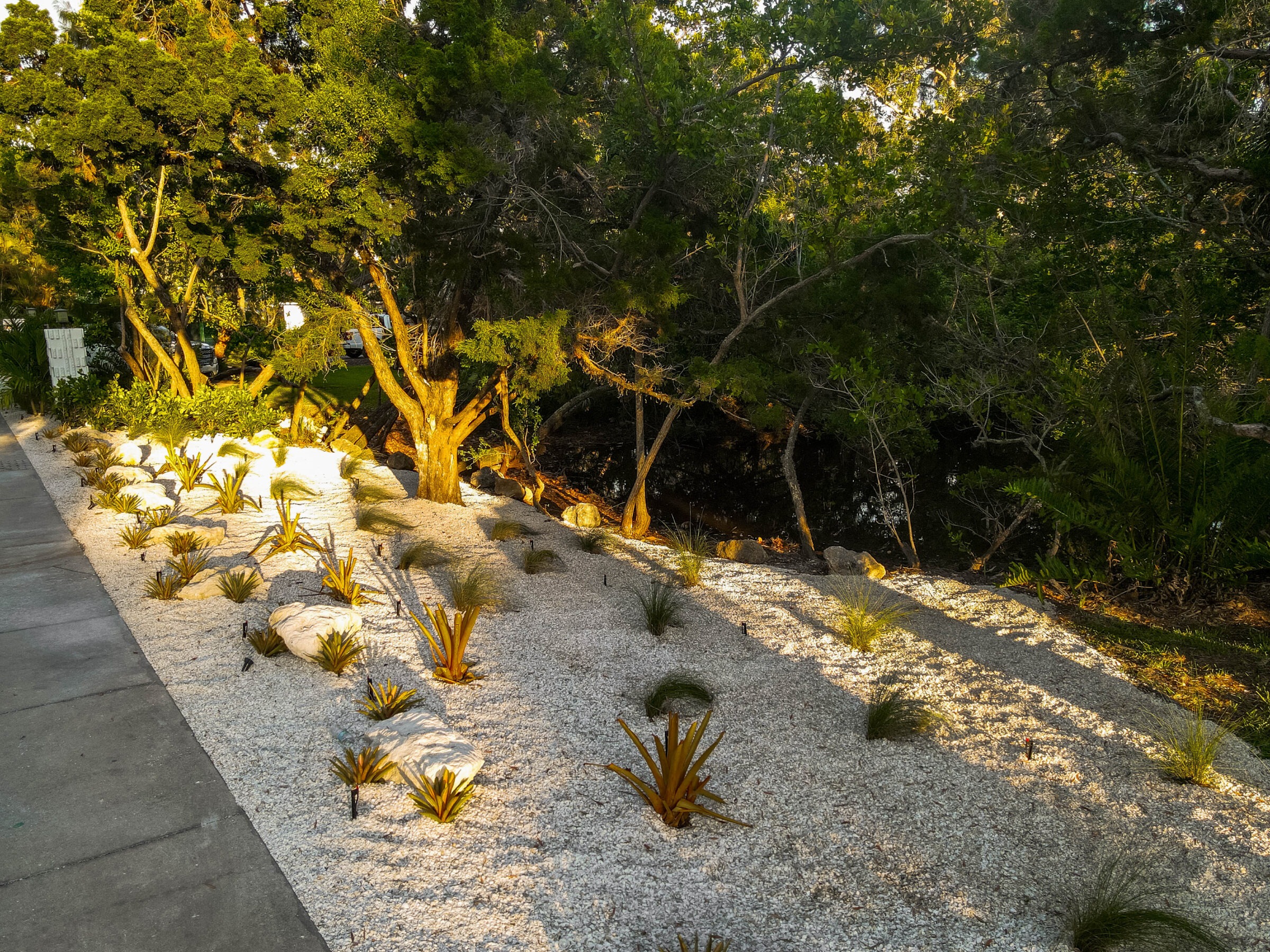 A sunlit garden features arranged plants and small trees on white gravel, bordered by a concrete path and dense green foliage.