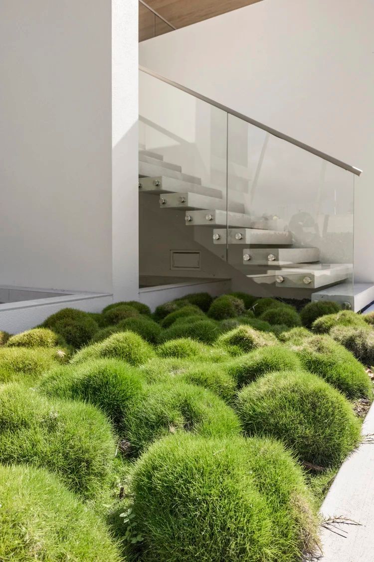 Modern architecture showcases a minimalist staircase with glass railing, above a garden of lush, round green bushes, creating a serene outdoor aesthetic.