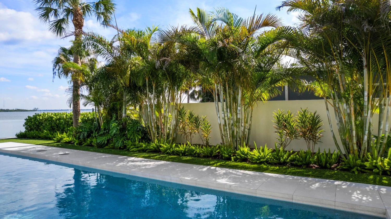 Tropical backyard with a swimming pool, lush palm trees, and greenery overlooking calm water under a blue sky. Tranquil, inviting, and serene setting.