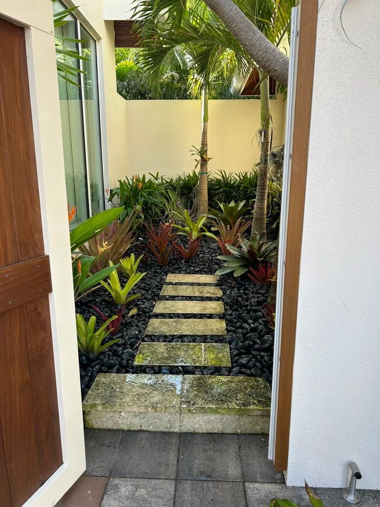 A narrow garden path with stepping stones, surrounded by tropical plants and palms, visible through a partially open wooden door.