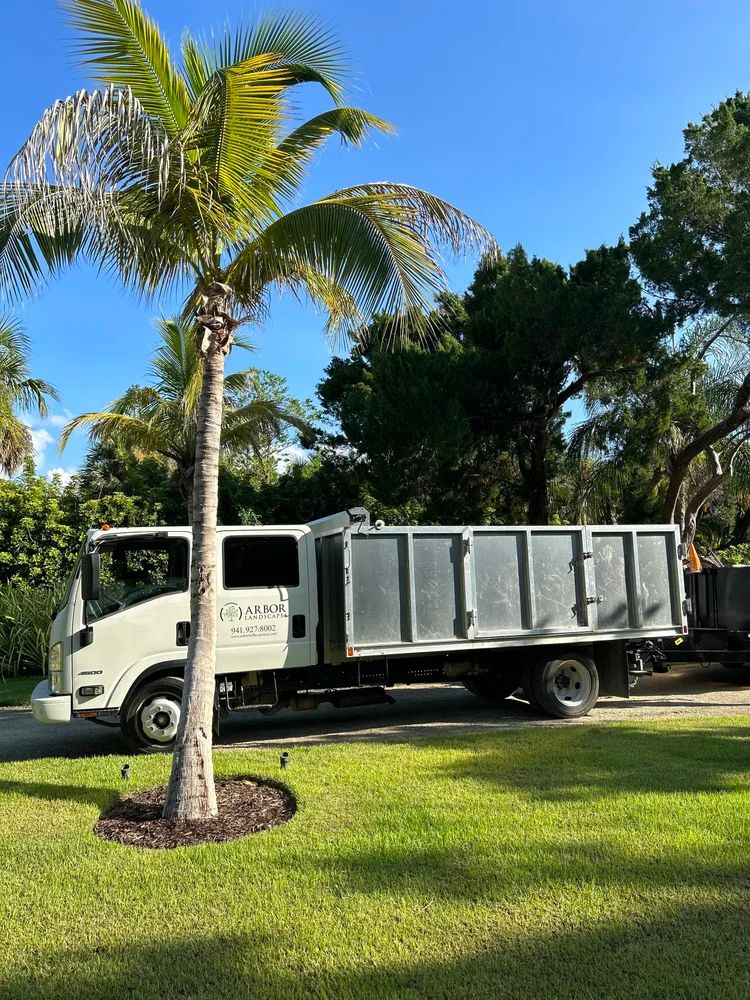 A truck labeled "Arbor Landscape" is parked on a sunny day beside a palm tree in a lush, green setting.