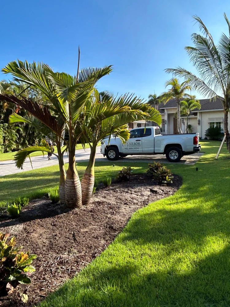 A lush garden with palm trees, a truck labeled "Arbor Care" parked on a driveway, and a suburban house in the background.