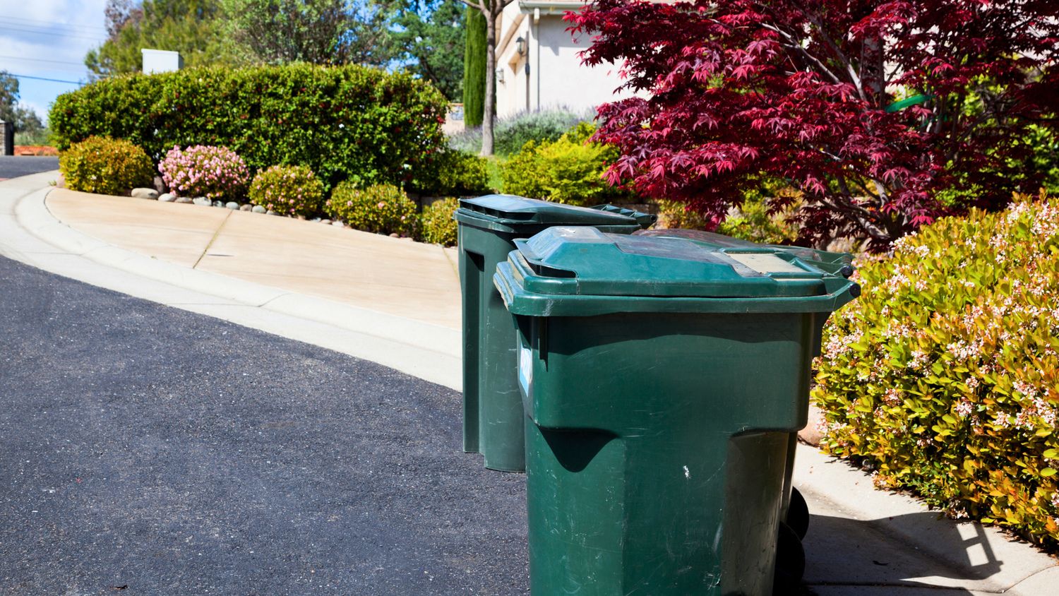 Green trash bins on a residential street, surrounded by manicured bushes and vibrant foliage, under a clear blue sky. No landmarks visible.