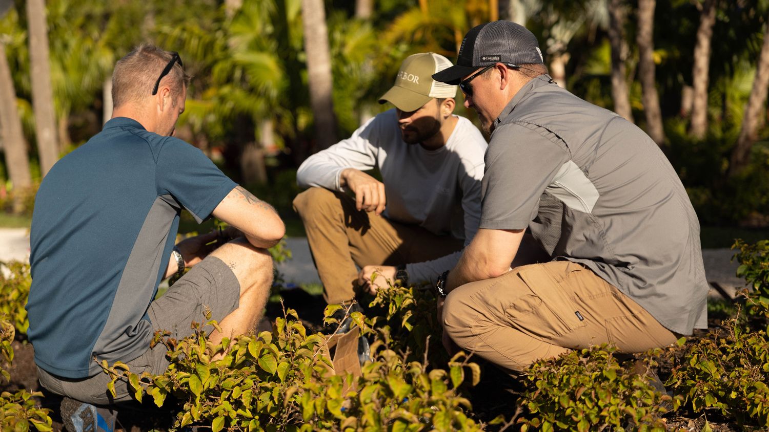 Three people kneel, discussing plants in a garden, surrounded by lush greenery and bright sunlight, creating a collaborative outdoor setting.