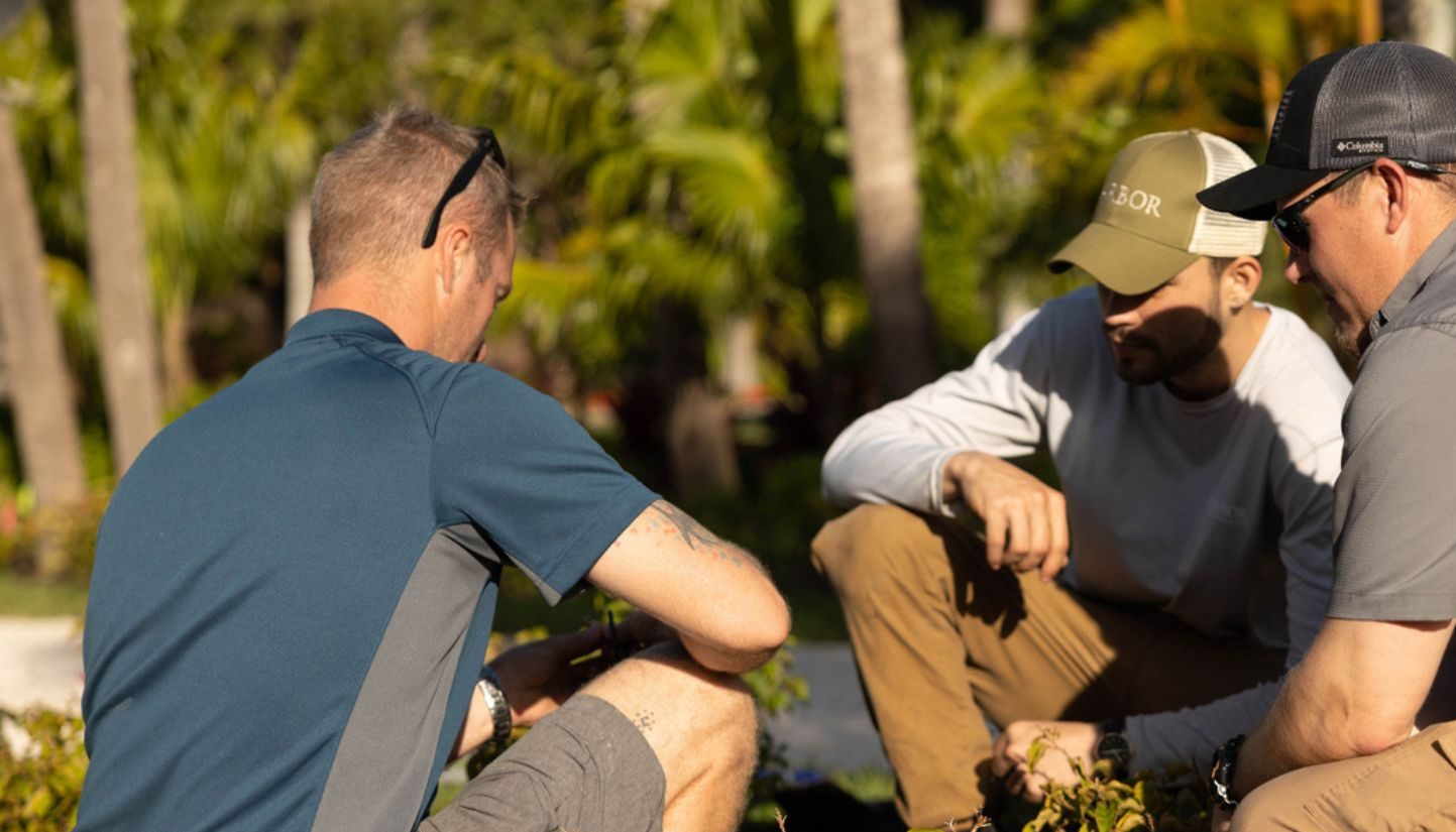 Three people kneel and examine plants in a sunny, tropical garden setting with palm trees in the background.