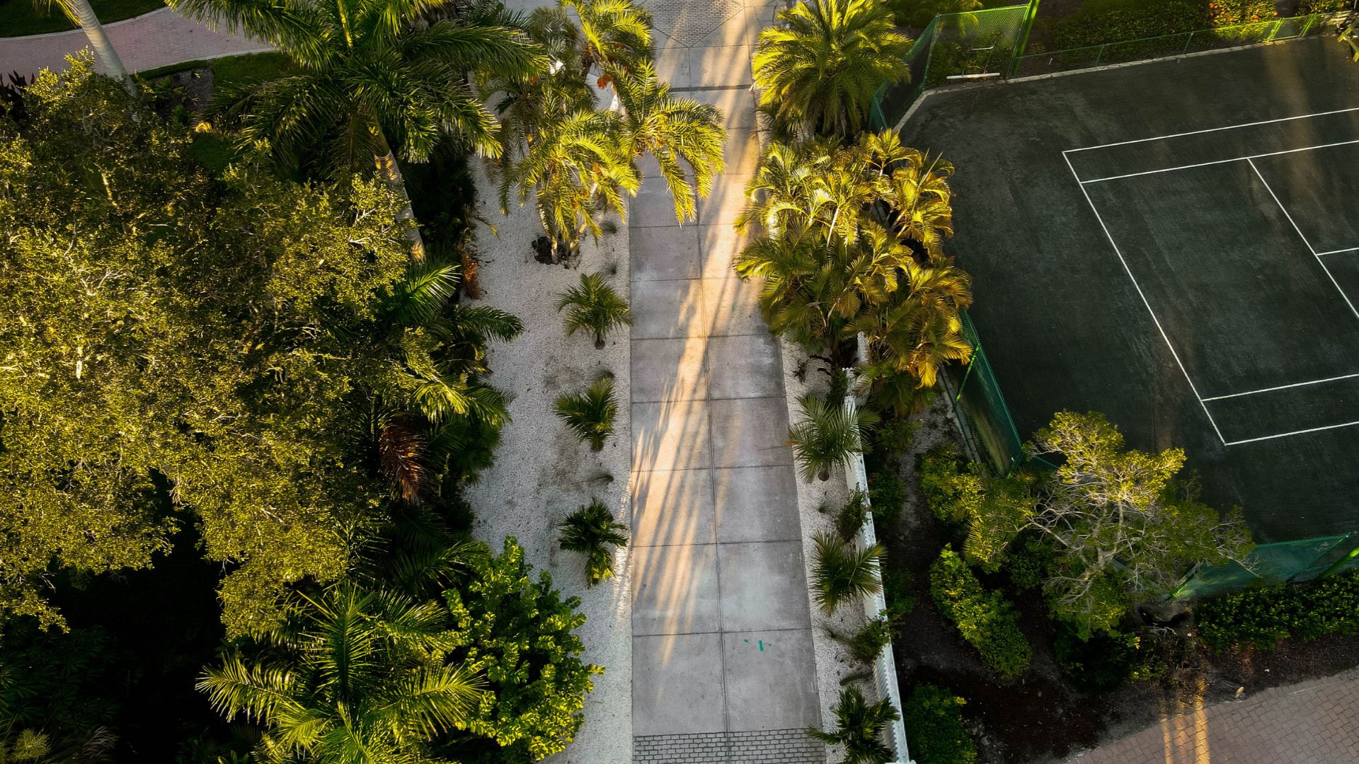 Aerial view of a tree-lined pathway next to a tennis court, surrounded by green foliage under warm sunlight.
