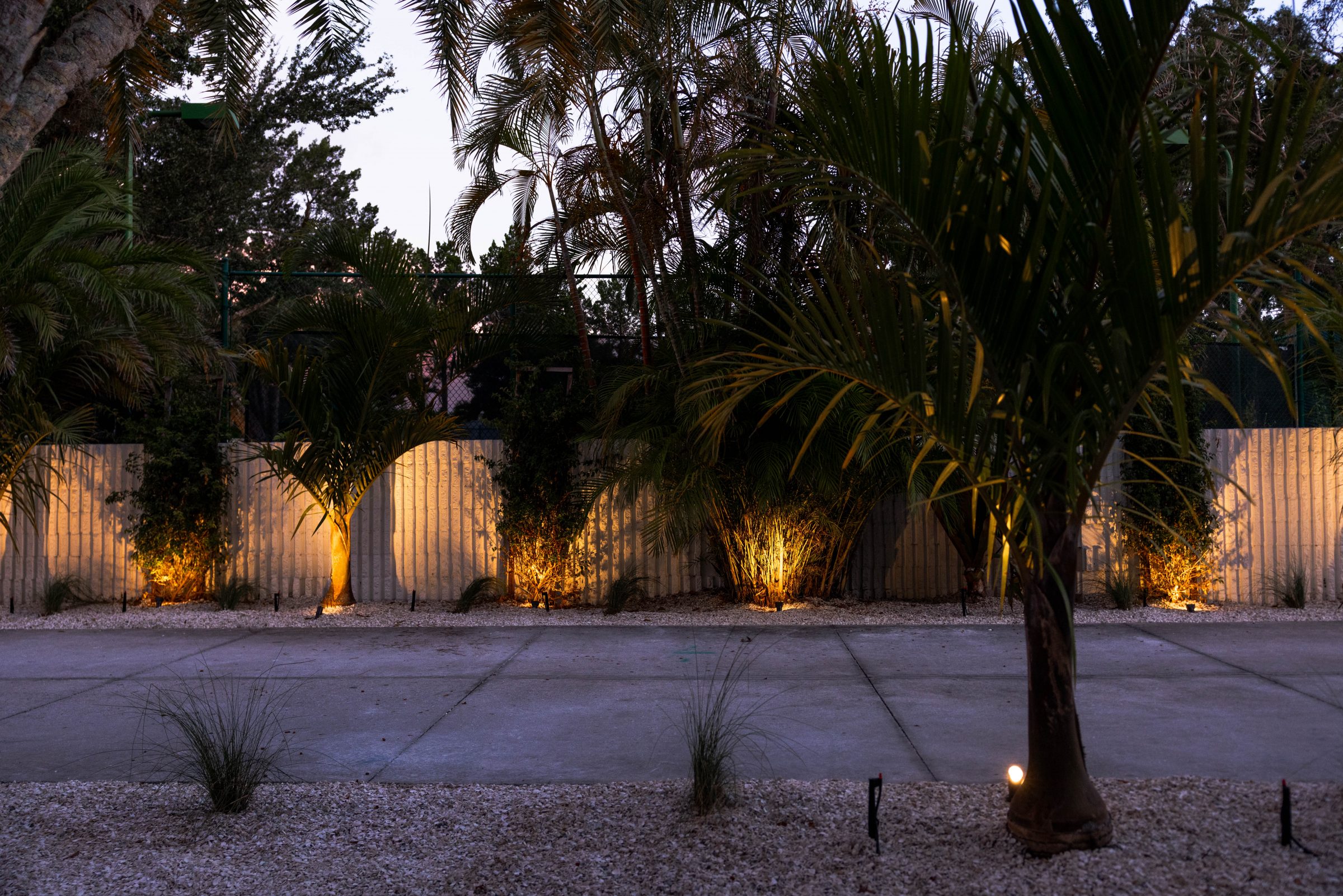 Palm trees lit with warm landscape lighting at dusk