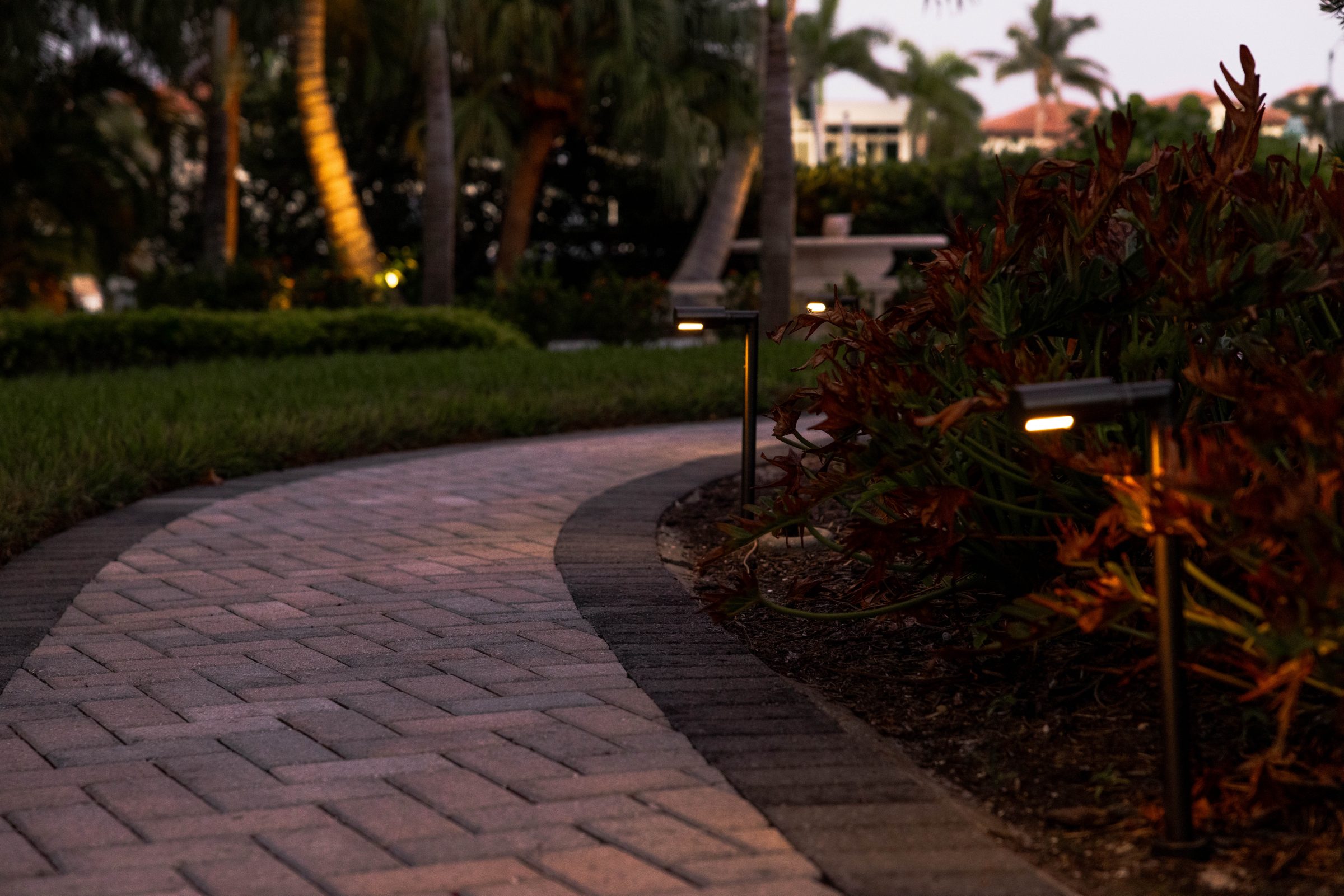 Pathway with low garden lights at night