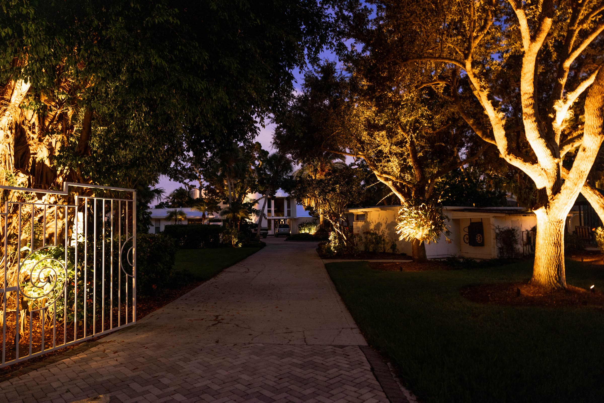 Tree-lined driveway with landscape lighting at night