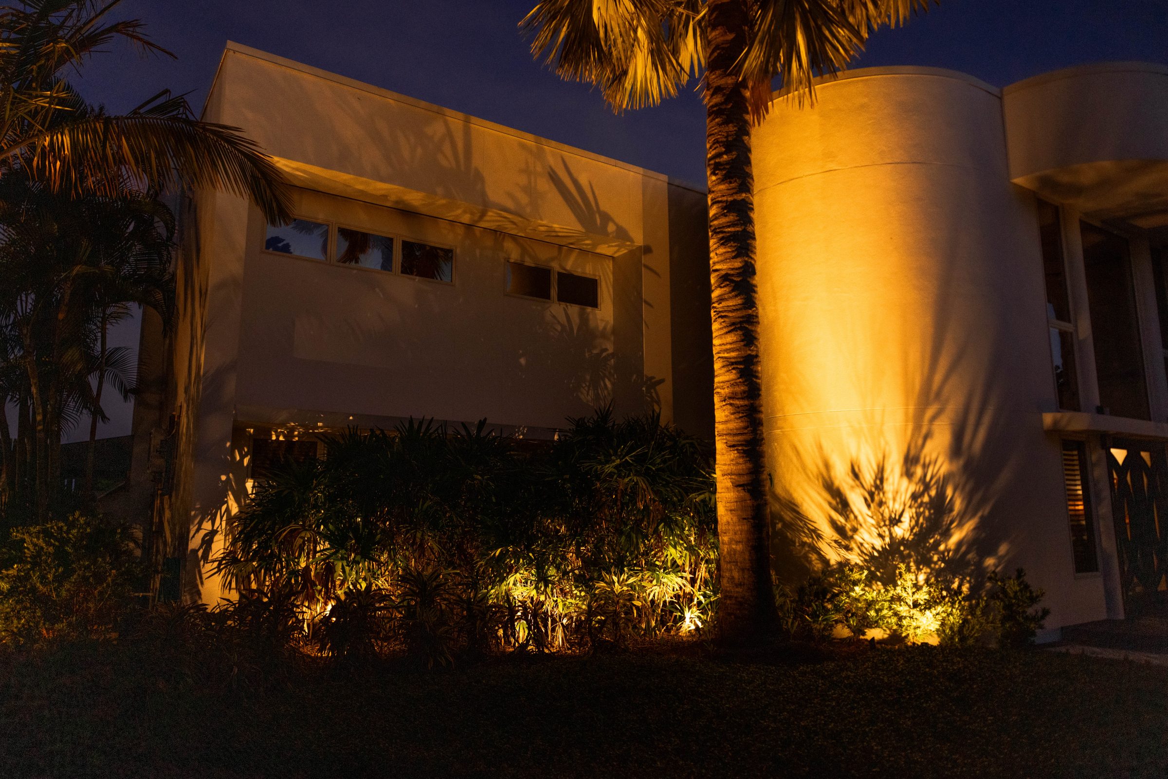 Palm tree casting shadows on house wall with lighting