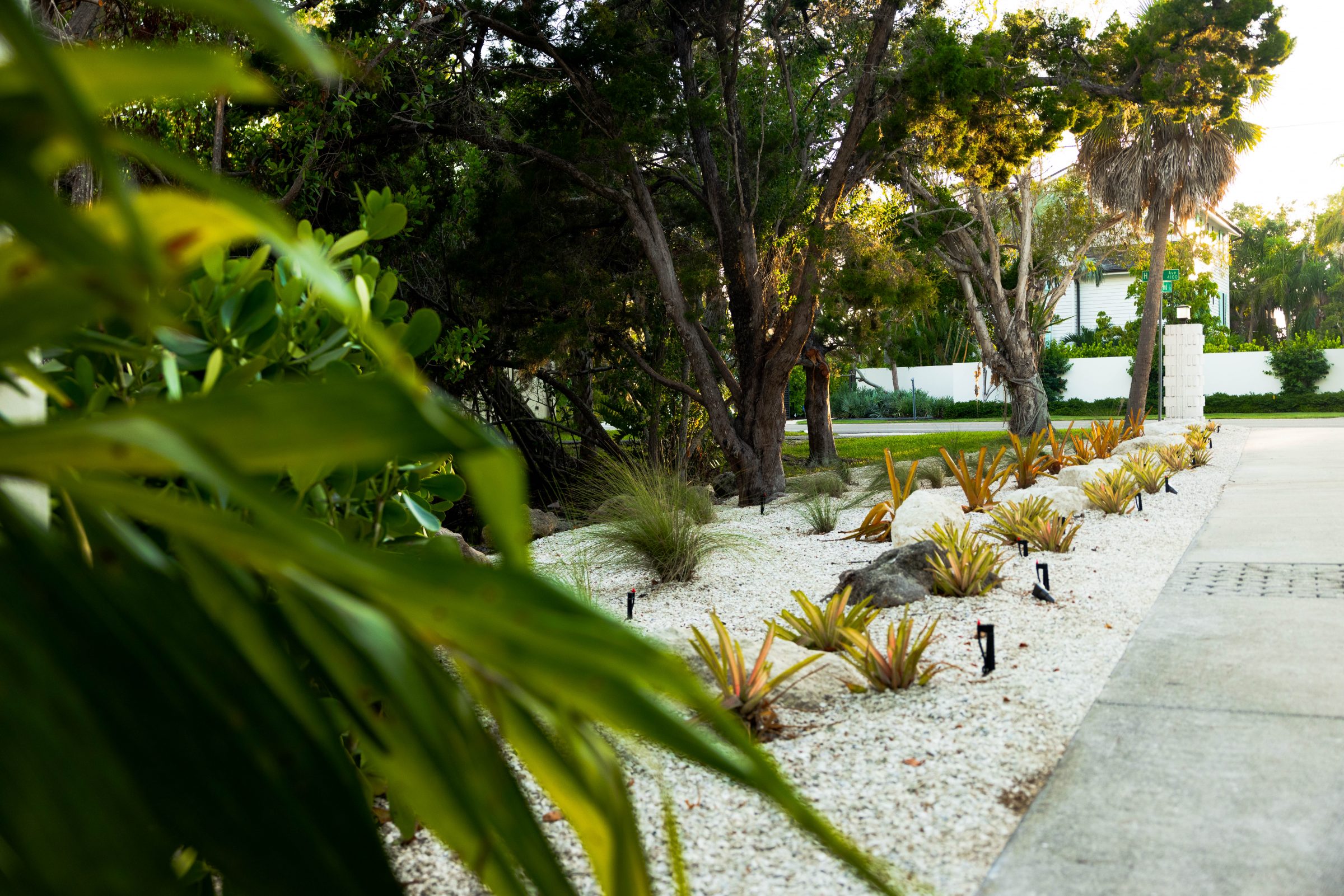 Modern landscape bed with gravel and tropical plants.