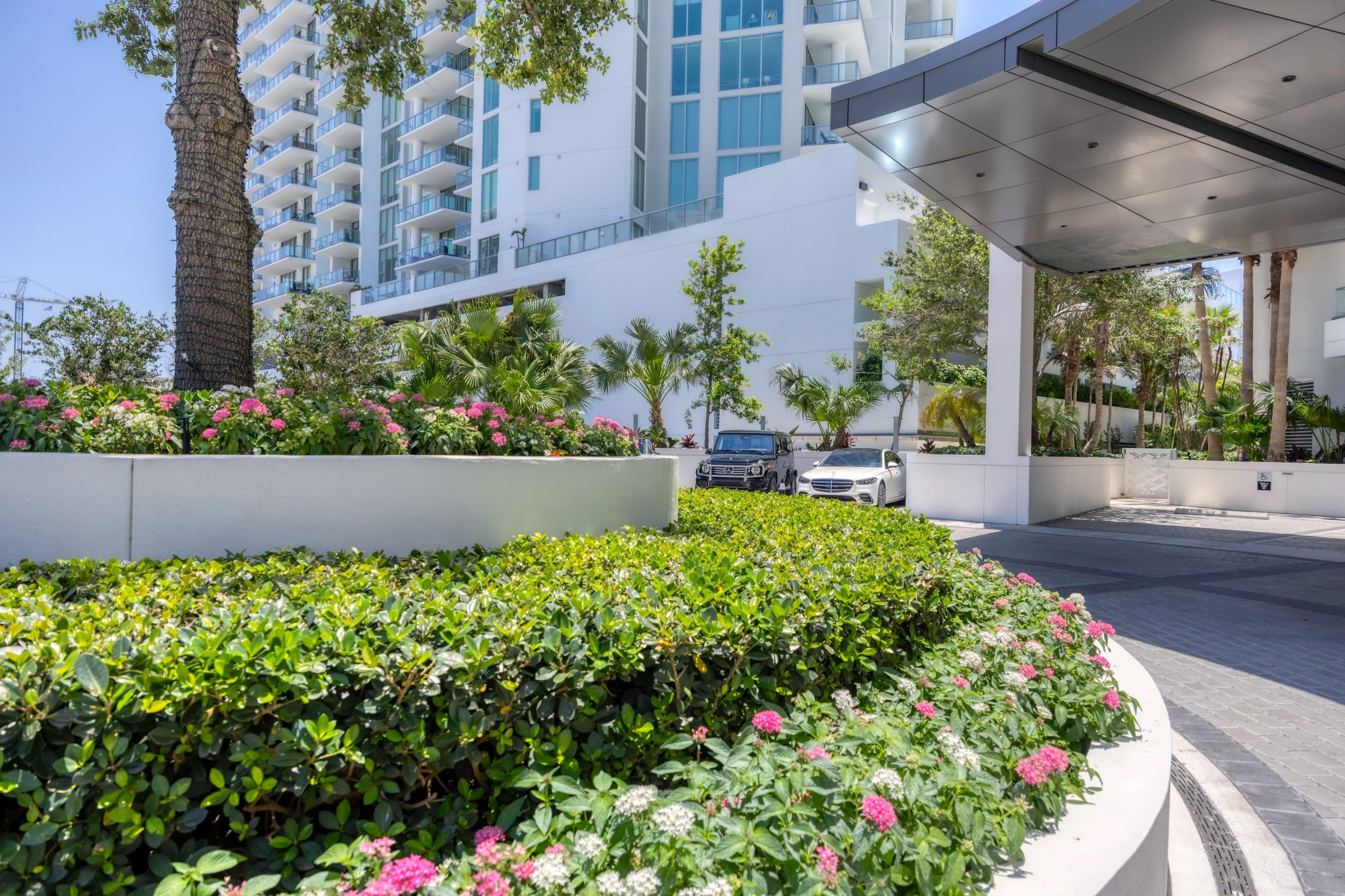 A curbside planting in a commercial landscape.